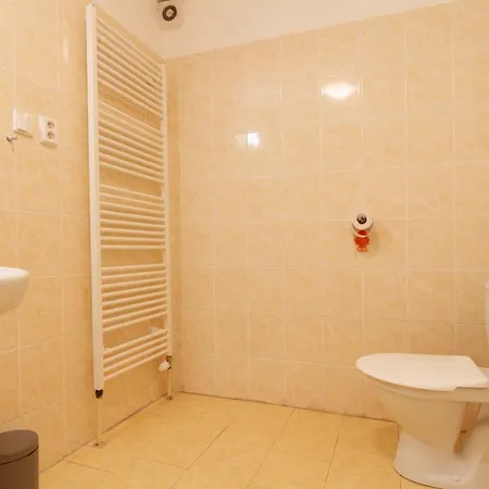 U Nemocnice 捷克布杰约维采