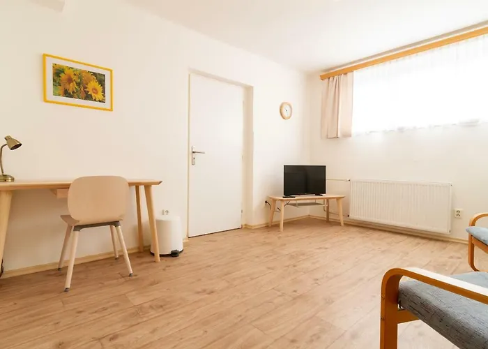 Apartment U Nemocnice *